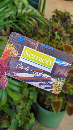 Carte cadeau Groupe Semico